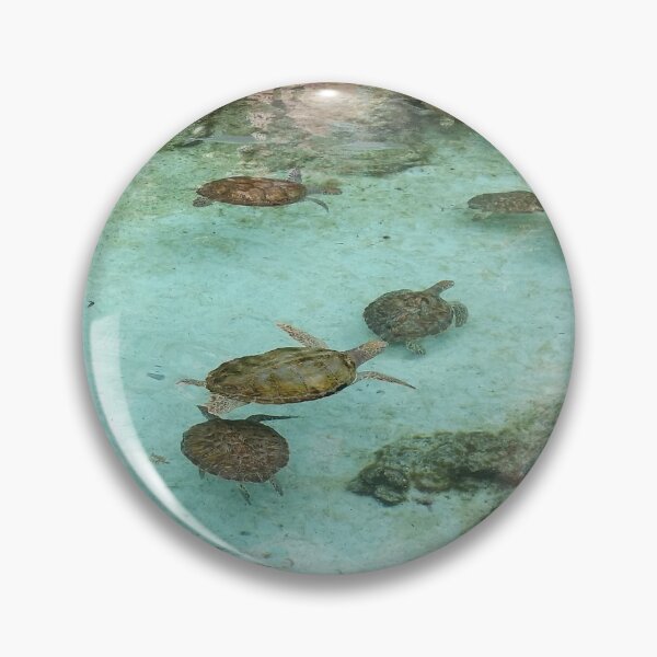 Artikelvorschau, Nassau Baha Island Baby-Schildkröten entworfen und verkauft von SaSaBoutique.