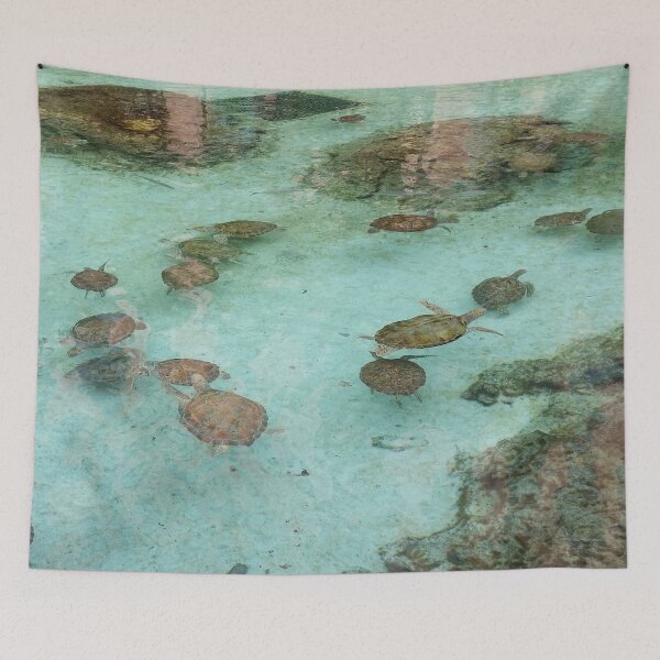 Item preview, Nassau Baha Island Baby Turtles designed and sold by SaSaBoutique.