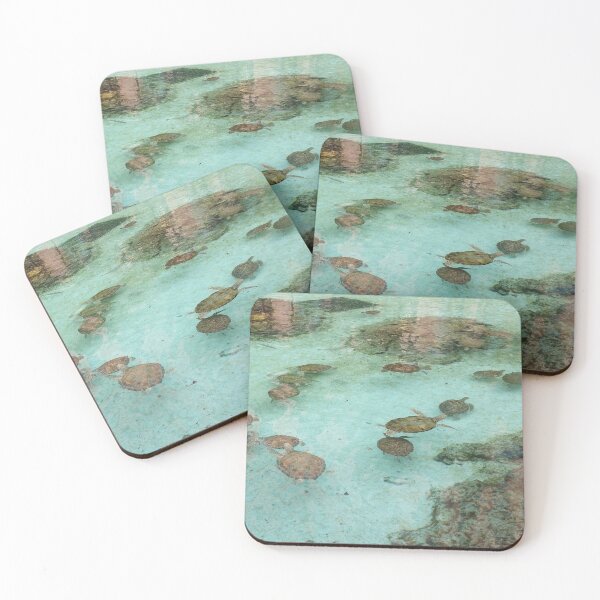 Item preview, Nassau Baha Island Baby Turtles designed and sold by SaSaBoutique.