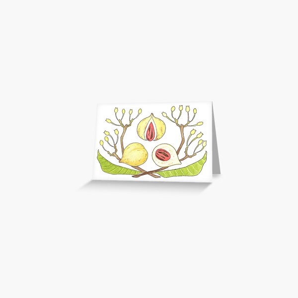 Seasonal Spices - Nutmeg/Mace Greeting Card