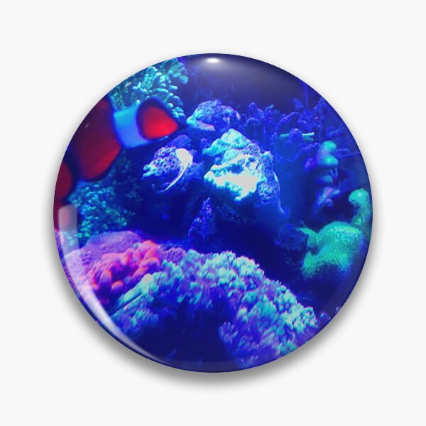 Item preview, Fish Dude's Reef Tank designed and sold by Starbelly208.