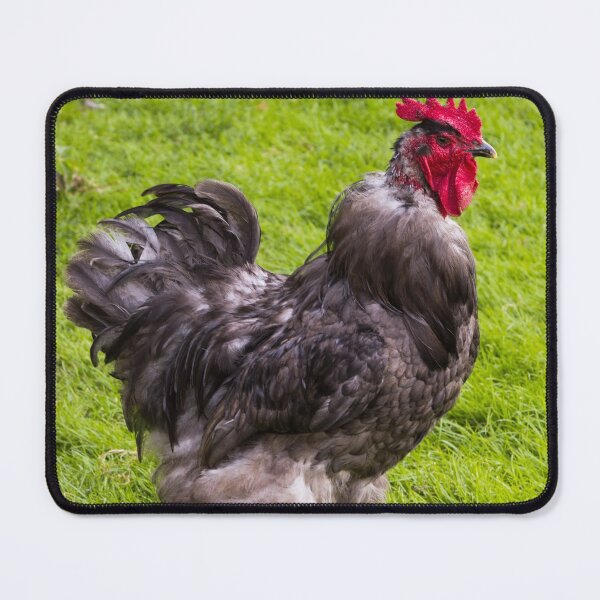 Item preview, Rooster designed and sold by OrcaNature.