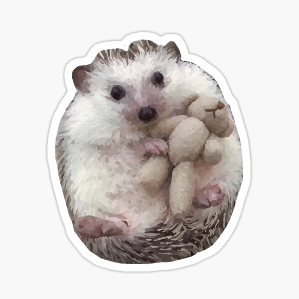 hedgehog with teddy bear