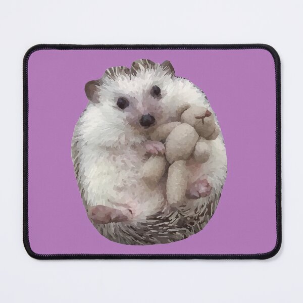 Item preview, Copy of Hedgehog and teddy bear designed and sold by OroboroCustom.