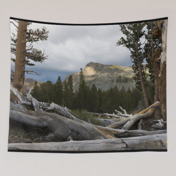 Item preview, Yosemite National Park spans eastern portions of Tuolumne, Mariposa and Madera counties in California designed and sold by OrcaNature.