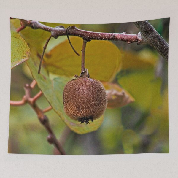 Item preview, Kiwi Fruit Growing on the Plant Branch designed and sold by worldways.