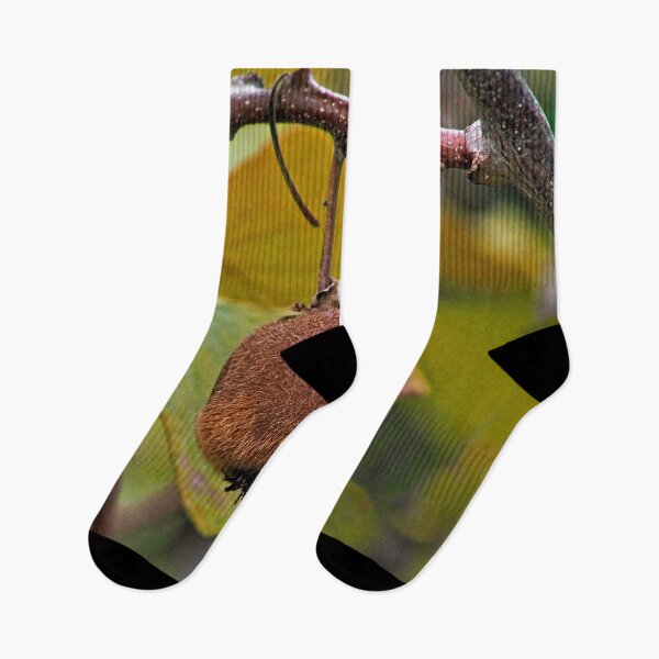 Item preview, Kiwi Fruit Growing on the Plant Branch designed and sold by worldways.