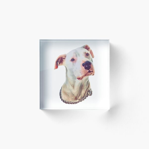 Item preview, Young Cartoon Dogo Argentino Head design designed and sold by BayRosePets.