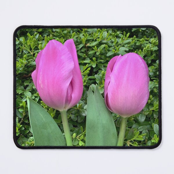 Item preview, Pair of Pink/Purple Tulips! designed and sold by ExploreOutdoors.