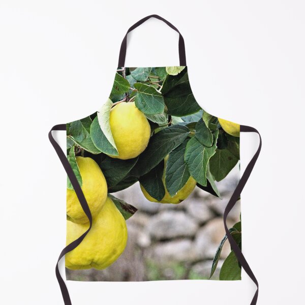 Item preview, Quince Fruits Growing on Tree Branch designed and sold by worldways.