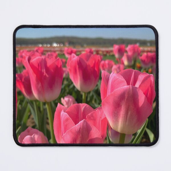 Item preview, Pink Tulips designed and sold by ExploreOutdoors.
