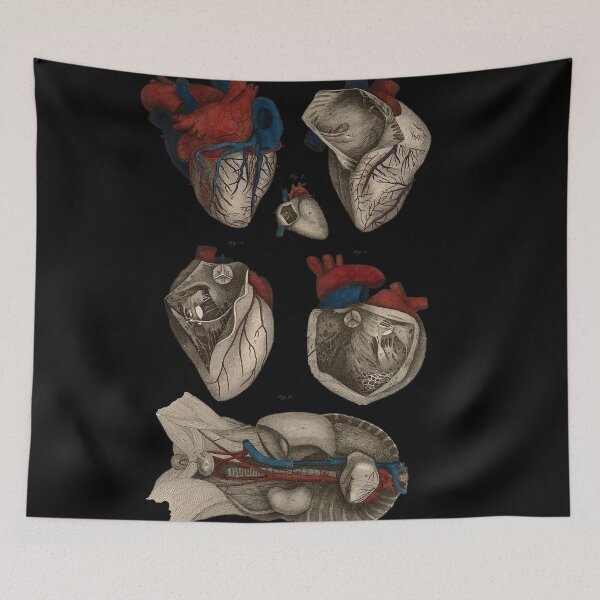 Item preview, Macabre Aesthetics: Anatomical figures of the heart designed and sold by Naturalist Prints.