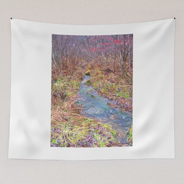 Item preview, Rivulet, Thicket, Snow Flurry, Pocono Mountains designed and sold by AMacGPhilly.