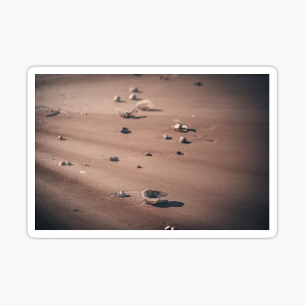 Item preview, Mussels on the North Sea beach in the sunlight designed and sold by ReensPhotos.
