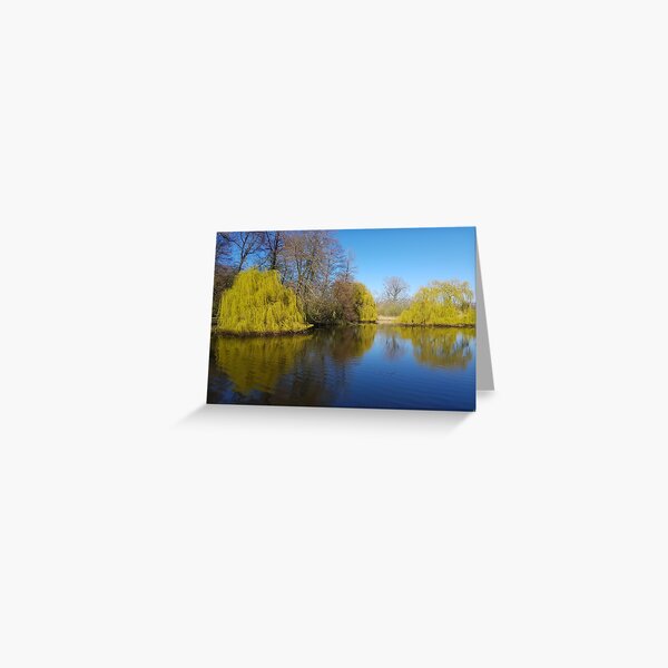 winter blue Greeting Card