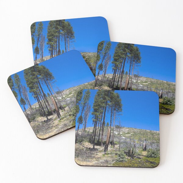 Item preview, Yosemite National Park spans eastern portions of Tuolumne, Mariposa and Madera counties in California designed and sold by OrcaNature.