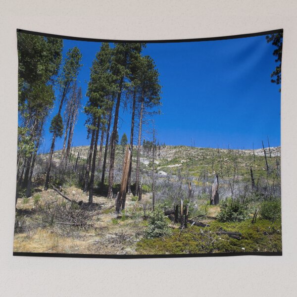 Item preview, Yosemite National Park spans eastern portions of Tuolumne, Mariposa and Madera counties in California designed and sold by OrcaNature.