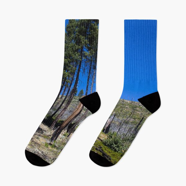 Item preview, Yosemite National Park spans eastern portions of Tuolumne, Mariposa and Madera counties in California designed and sold by OrcaNature.