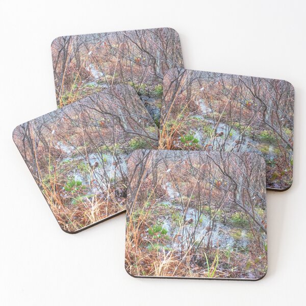 Item preview, Rivulet in a Mountain Thicket, Pocono Mountains designed and sold by AMacGPhilly.