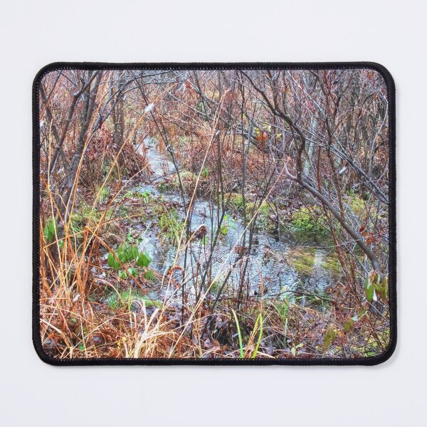 Item preview, Rivulet in a Mountain Thicket, Pocono Mountains designed and sold by AMacGPhilly.