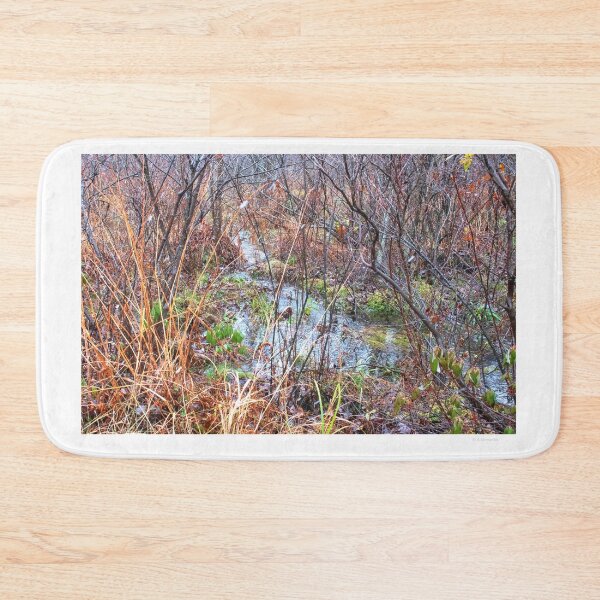 Item preview, Rivulet in a Mountain Thicket, Pocono Mountains designed and sold by AMacGPhilly.