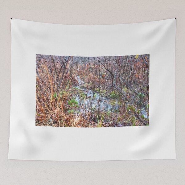Item preview, Rivulet in a Mountain Thicket, Pocono Mountains designed and sold by AMacGPhilly.