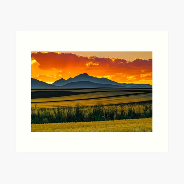 Lines Of Sunset Art Print