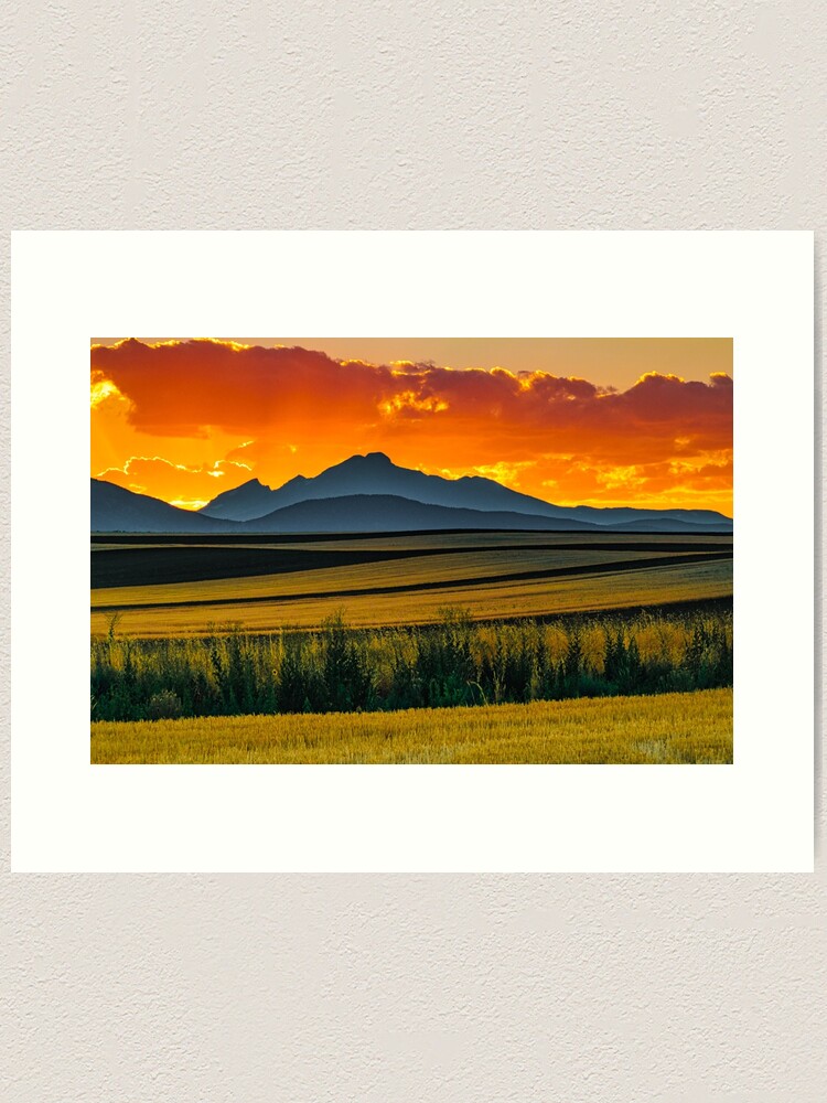 Alternate view of Lines Of Sunset Art Print