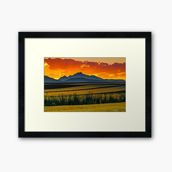 Lines Of Sunset Framed Art Print