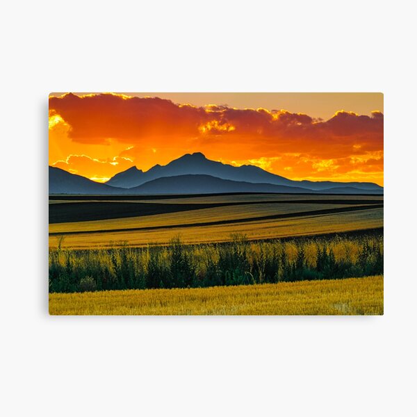 Lines Of Sunset Canvas Print