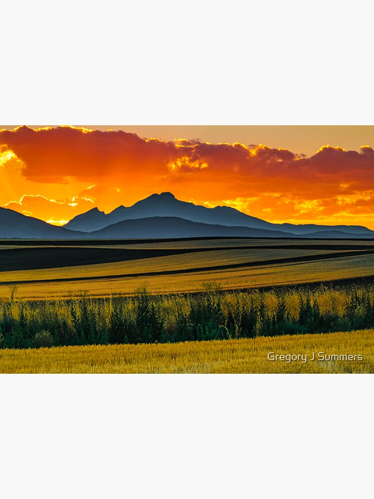 Lines Of Sunset by nikongreg