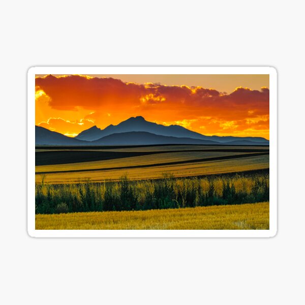 Lines Of Sunset Sticker