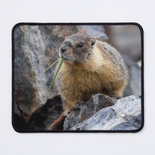 Hey buddy, can you spare some grass? Mouse Pad