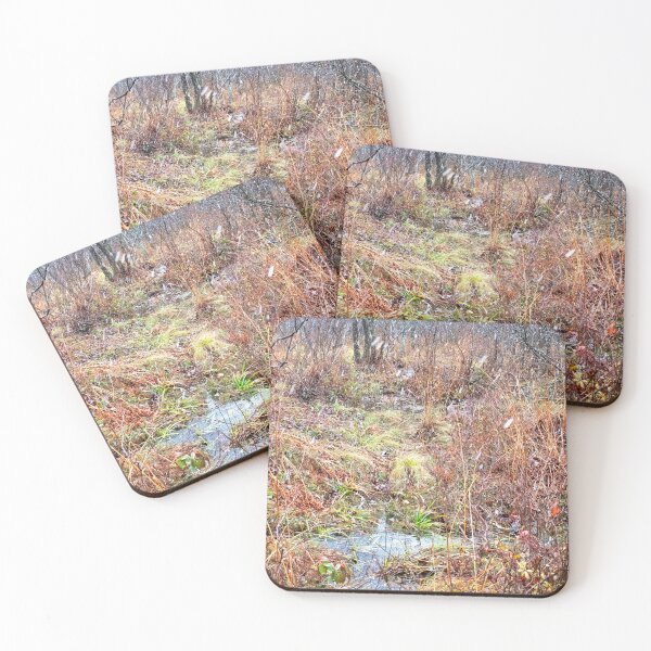 Item preview, Rivulet in a Mountain Thicket, Pocono Mountains designed and sold by AMacGPhilly.