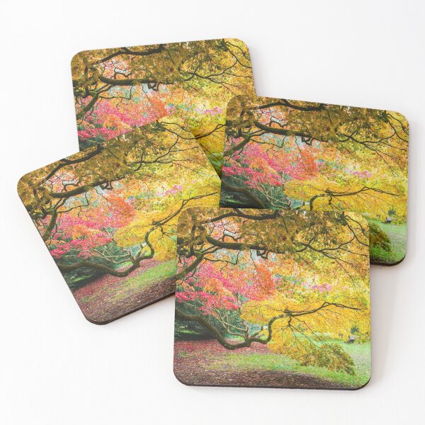 Item preview, Japanese Maples (Acer Palmatum) in Autumn Colours designed and sold by Graham Prentice.