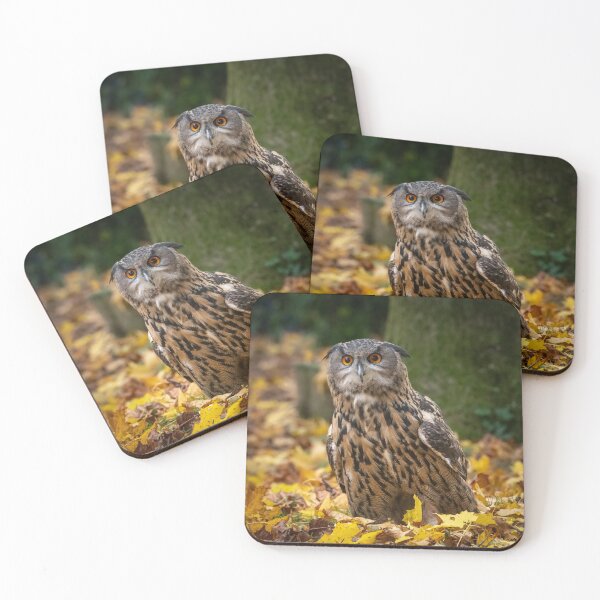 Item preview, Siberian eagle owl (Bubo bubo sibiricus) designed and sold by Steve Liptrot Photography.