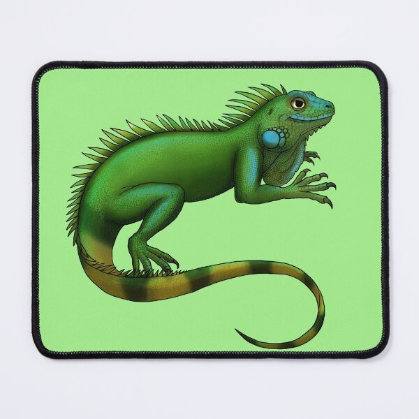 Item preview, Green Iguana designed and sold by JeMiChi Art.