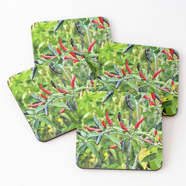 Item preview, Chili Peppers Hot Spice Plant  designed and sold by worldways.