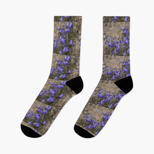 Item preview, USA. Olympic National Park. Wild Flowers.  designed and sold by vadim19.