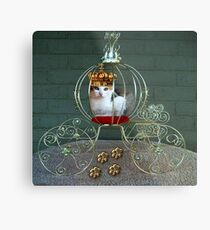 I CAN BE THE PURRFECT QUEEN OR THE QUEEN OF DENIAL>FELINE>CAT PICTURE Metal Print