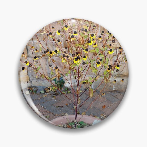 Item preview, Glen Eyrie Grounds Study 4  designed and sold by Robert Meyers-Lussier.