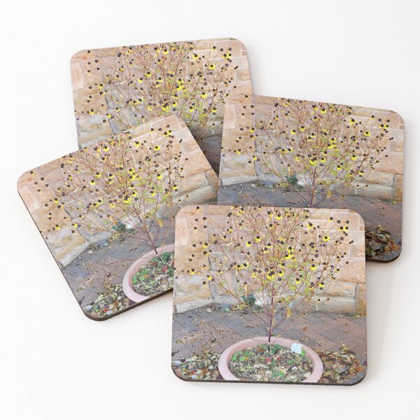 Item preview, Glen Eyrie Grounds Study 4  designed and sold by Robert Meyers-Lussier.