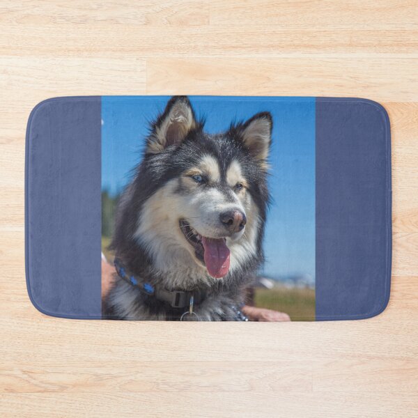 Item preview, USA. Olympic National Park. Siberian Husky.  designed and sold by vadim19.