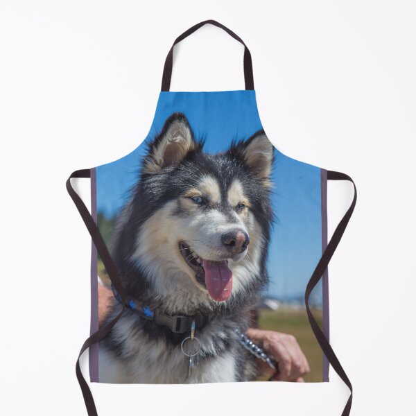 Item preview, USA. Olympic National Park. Siberian Husky. designed and sold by vadim19.