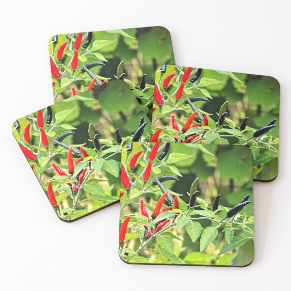 Item preview, Hot Spice Chili Peppers Plant  designed and sold by worldways.