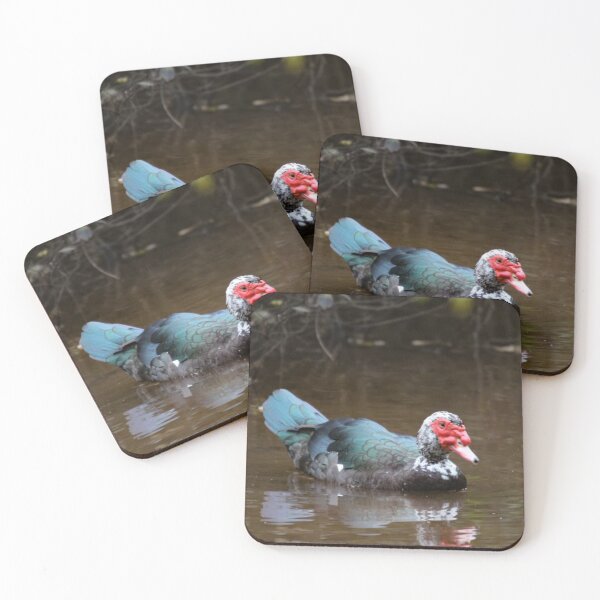 Item preview, Muscovy duck designed and sold by Creativeart1974.