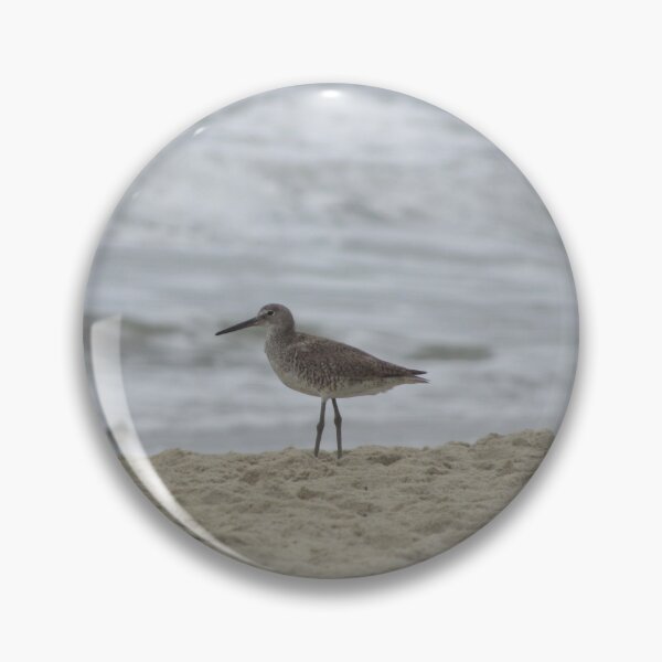 Item preview, Willet bird on the beach photo designed and sold by laceyyyann34.