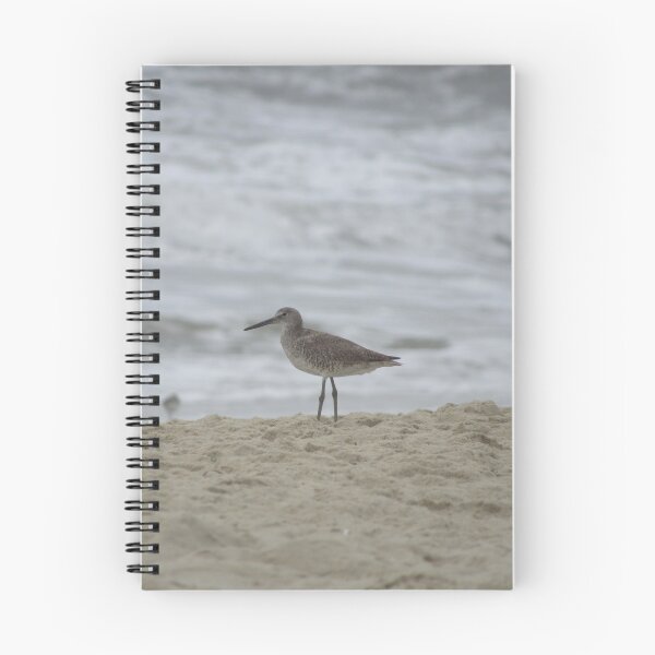 Item preview, Willet bird on the beach photo designed and sold by laceyyyann34.