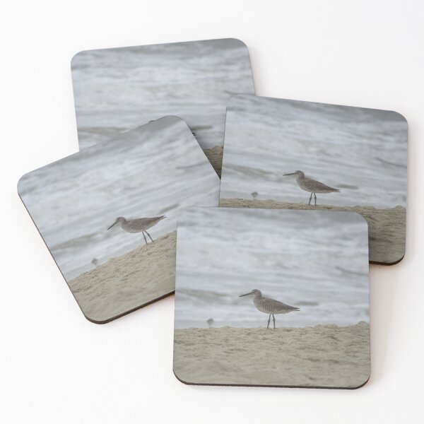Item preview, Willet bird on the beach photo designed and sold by laceyyyann34.