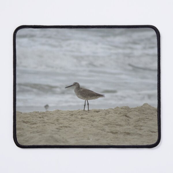 Item preview, Willet bird on the beach photo designed and sold by laceyyyann34.
